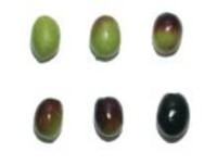 T 073a14cda85d3ac4752711a2e2403796 200x200